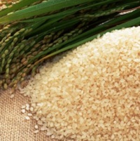 Украине придется импортировать до 120 тыс. тонн риса