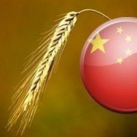 Експерти оцінили потенціал поставок української агропродукції до Китаю