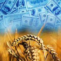 Ціни на зернові стабільні