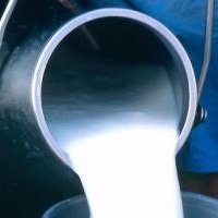 Виробництво молока в 2015 році склало 10,7 млн. т