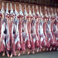 Production of frozen beef has increased more than two times