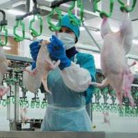 Production of poultry meat has increased