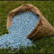 Application of mineral fertilizers has been speeded up
