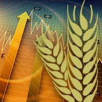 Almost 90 countries import Ukrainian grain