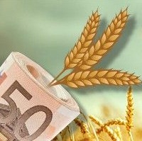 Нацбанк пополнит валютные резервы за счет зерна