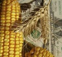 Посуха в США сприяла зростанню цін на кукурудзу
