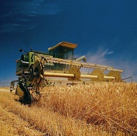 Без рекордов: Сколько заработает Украина на грядущем урожае 